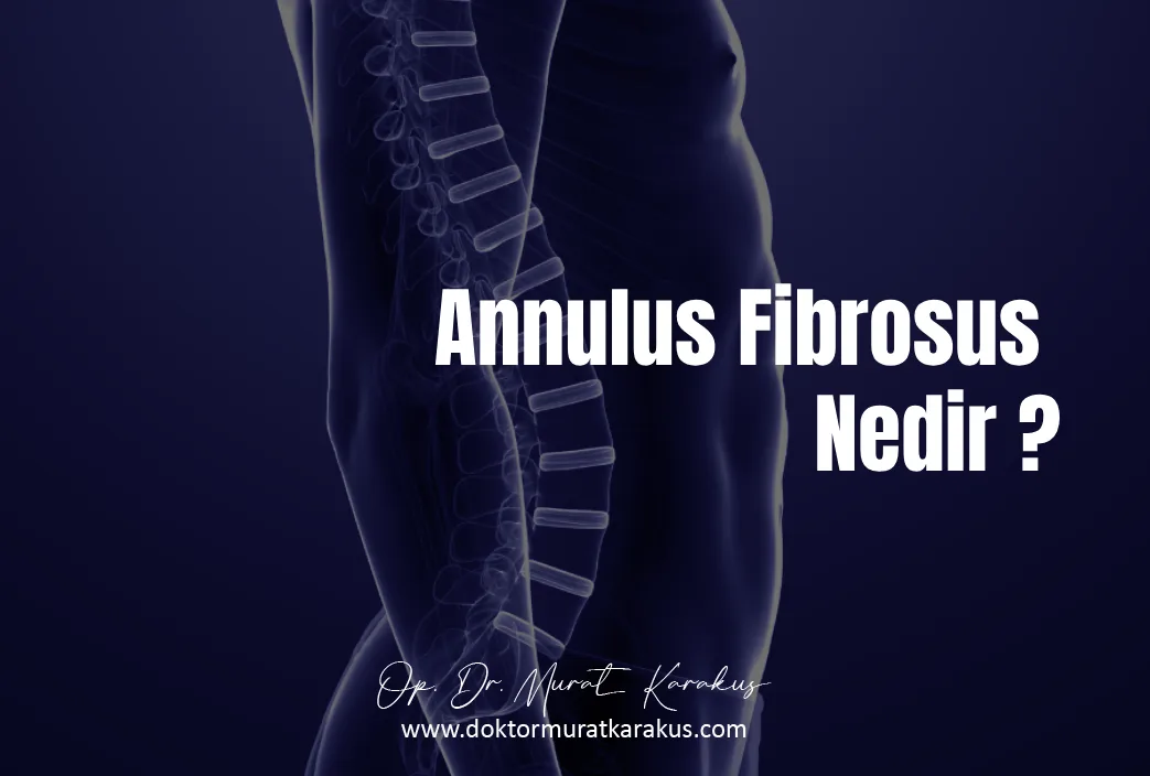 annulus-fibrosus-nedir