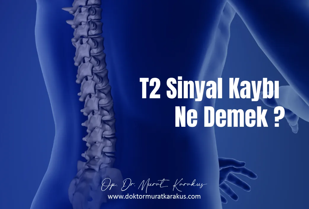 t2-sinyal-kaybi-ne-demek