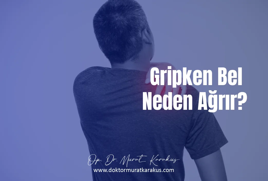 gripken-bel-neden-agrir