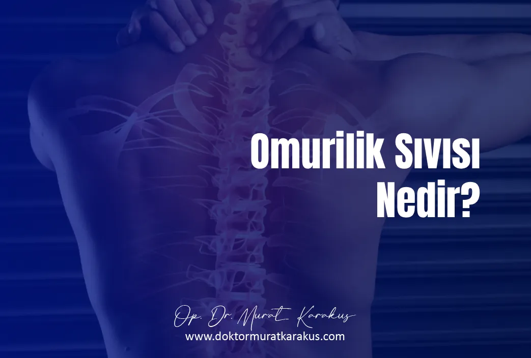 omurilik-sivisi-nedir