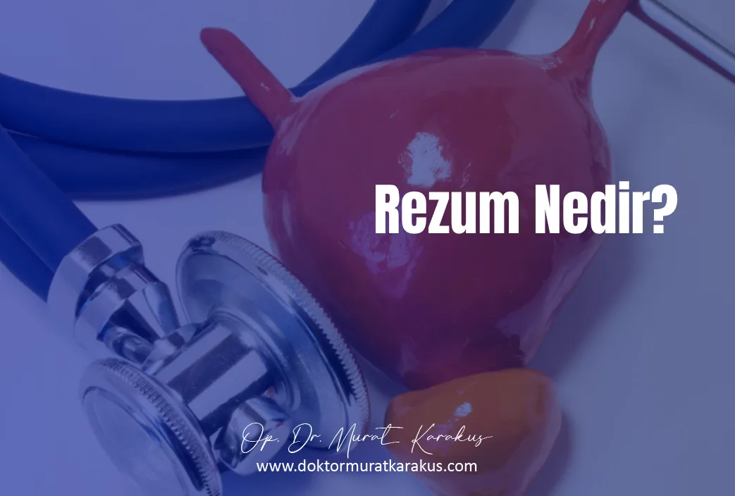 rezum-nedir-