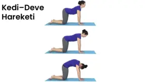 kedi-deve-hareketi-omurganizi-genclestirmek